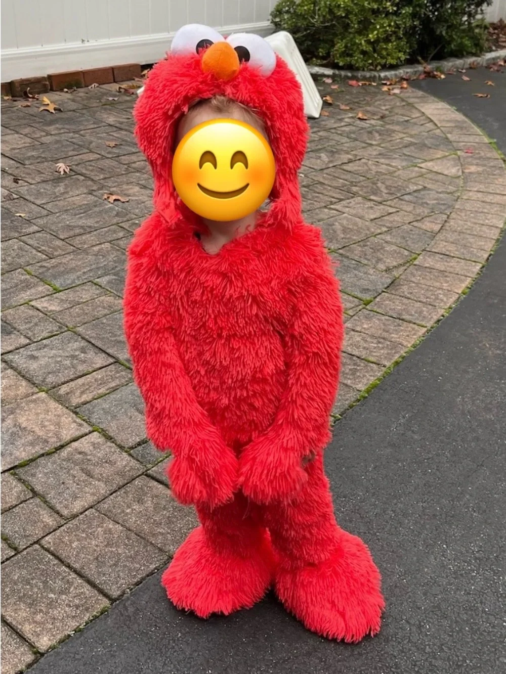 Elmo Halloween Costume Toddler 2T